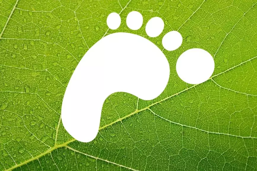 Grüner Füßabdruck (Quelle: pixabay)