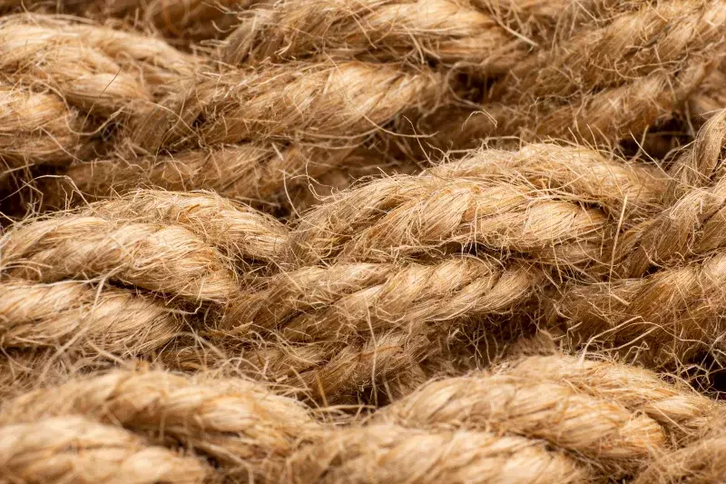 Platzhalterbild Naturfasern