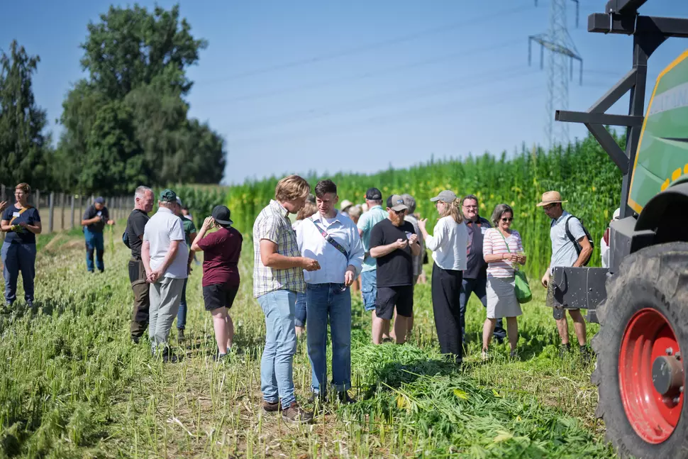 Landtechnik,  Textilindustrie,  Countryside,  Farm,  Field,  Handbag,  Hat,  Nature,  Outdoors,  Person,  Rural,  Shoe