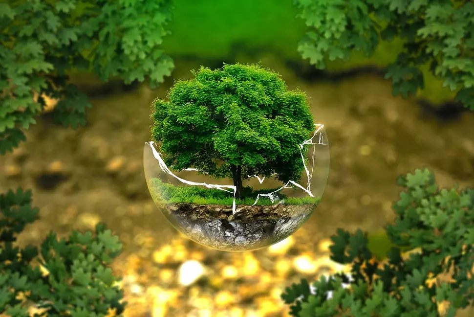 Umwelt (Quelle: pixabay)