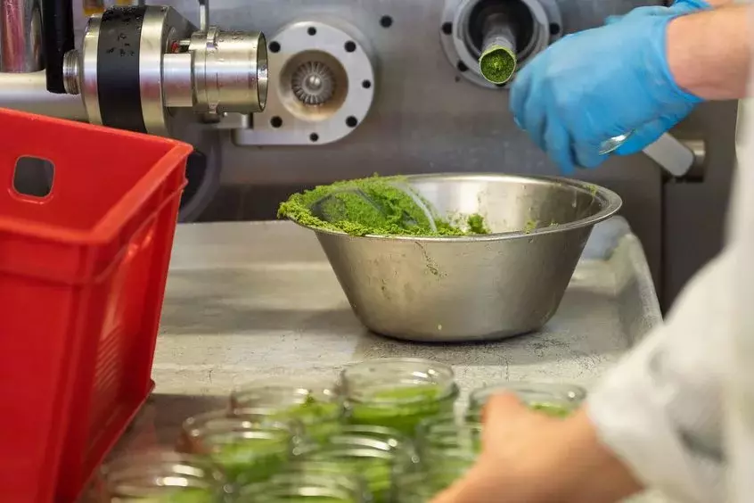 In Produktion der aktuellen „Gartenmahlzeit“ (veganer Brotaufstrich aus regionalem, ökologischen Anbau) der Schneider+Freunde GmbH in Arzberg