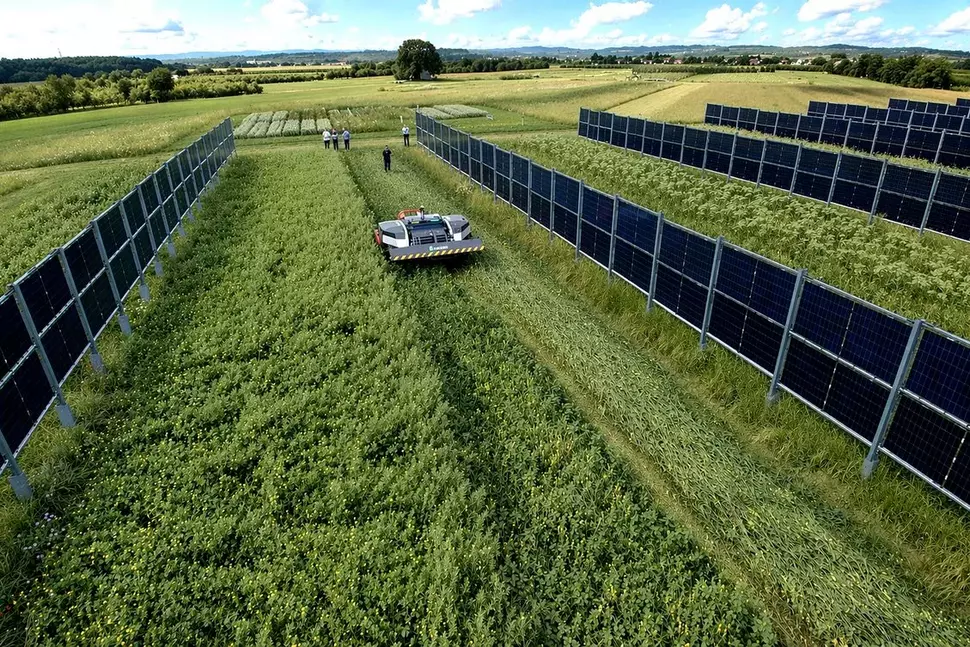 Agri-Photovoltaik-Module auf einem Feld, dazwischen eine Erntemaschine