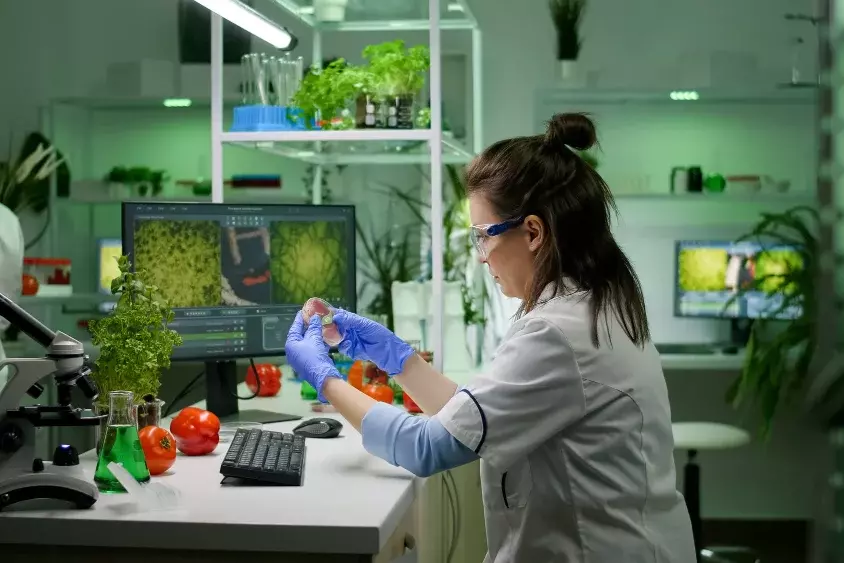 Labormitarbeiterin in einem Labor bei der Qualitätskontrolle von künstlich erzeugtem Fleisch in einer Petrischale