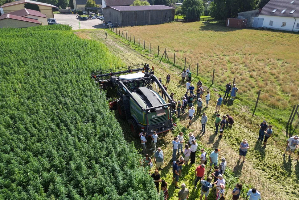 Faserernte 2025: Luftaufnahme Erntemaschine auf dem Feld
