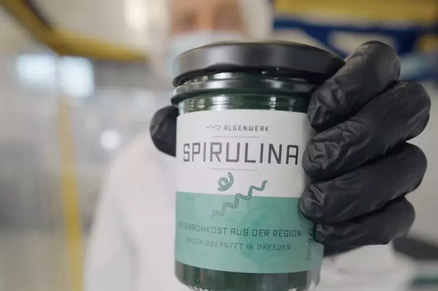 Algenwerk: Frische Spirulina im Glas (170 g)