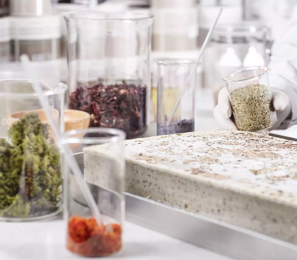 Alternative Proteinquellen in Reagenzgläsern in einem Labor