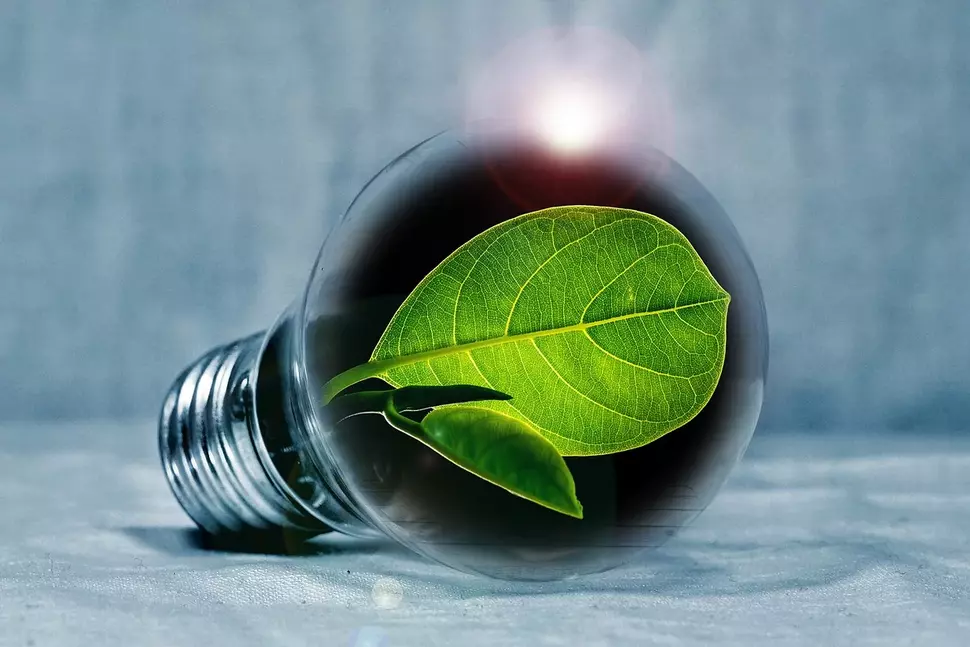 Grüne Energie (Quelle: pixabay)