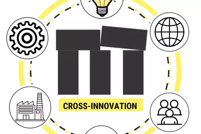 Grafik "Cross Innovation"
