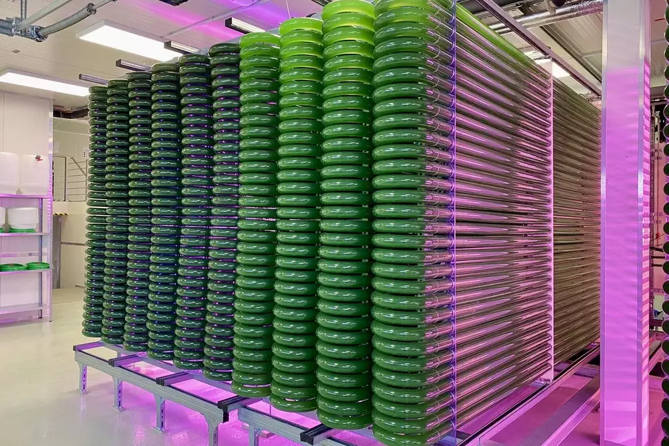 PACT-Photobioreaktor für den Industriemaßstab